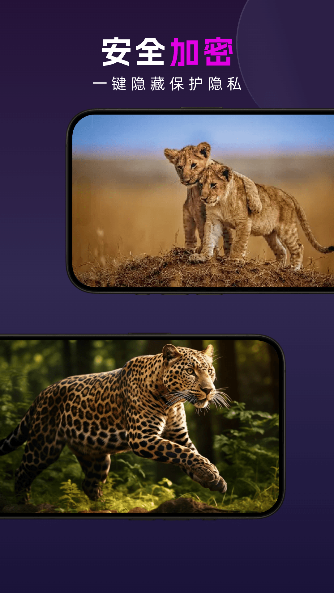 精彩截图-成人礼仪高清播放器2026官方新版