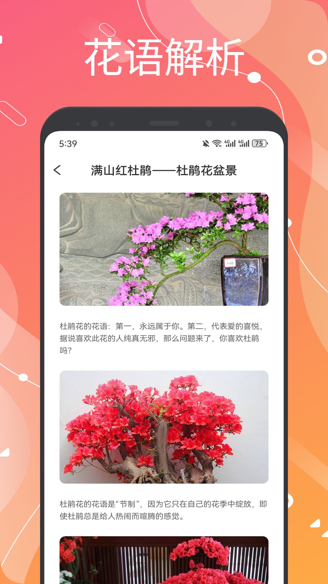 精彩截图-用信花2026官方新版
