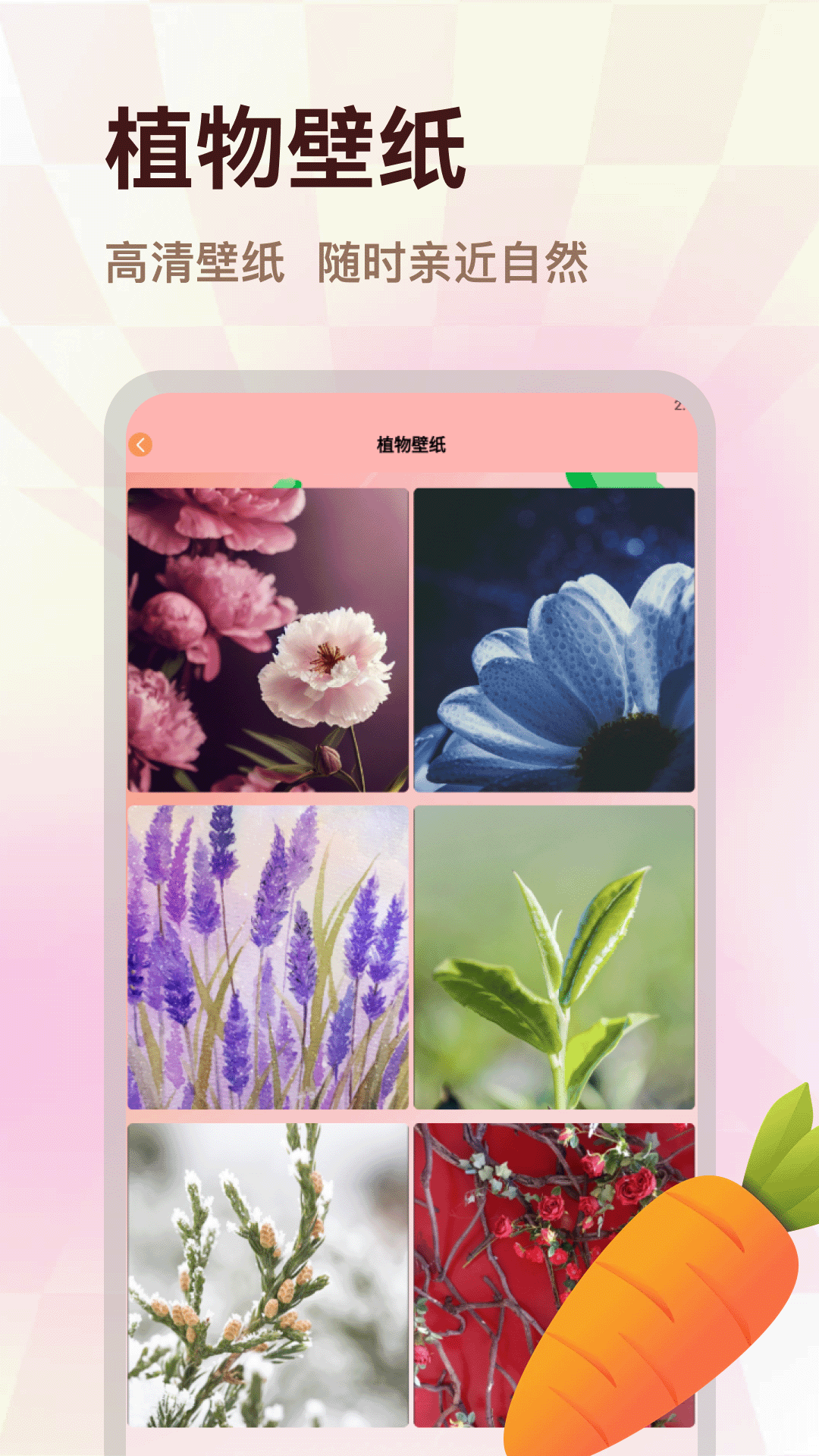精彩截图-胡萝卜2026官方新版