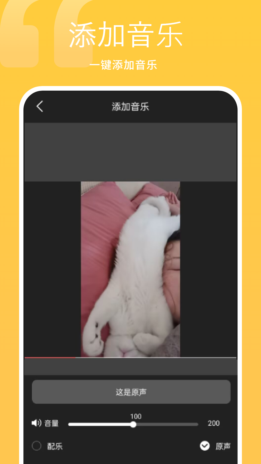 精彩截图-万能播放器2026官方新版