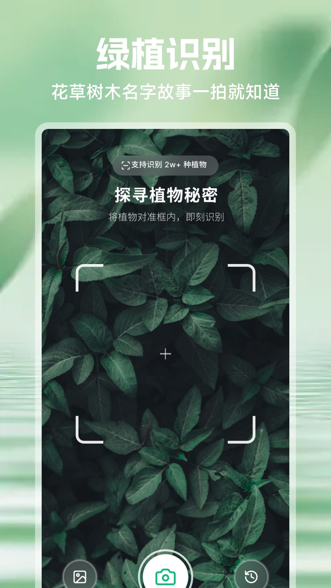 精彩截图-吉意花2026官方新版