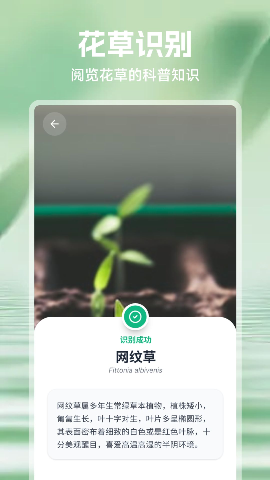 精彩截图-吉意花2026官方新版