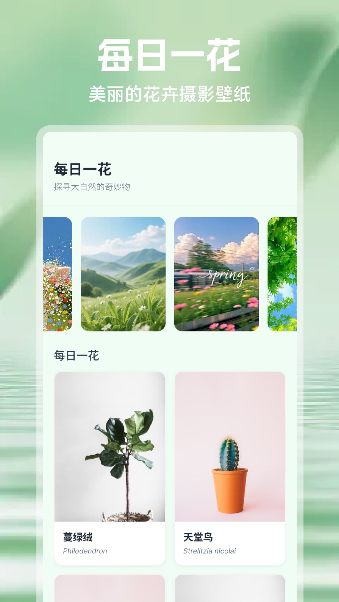 精彩截图-吉意花2026官方新版