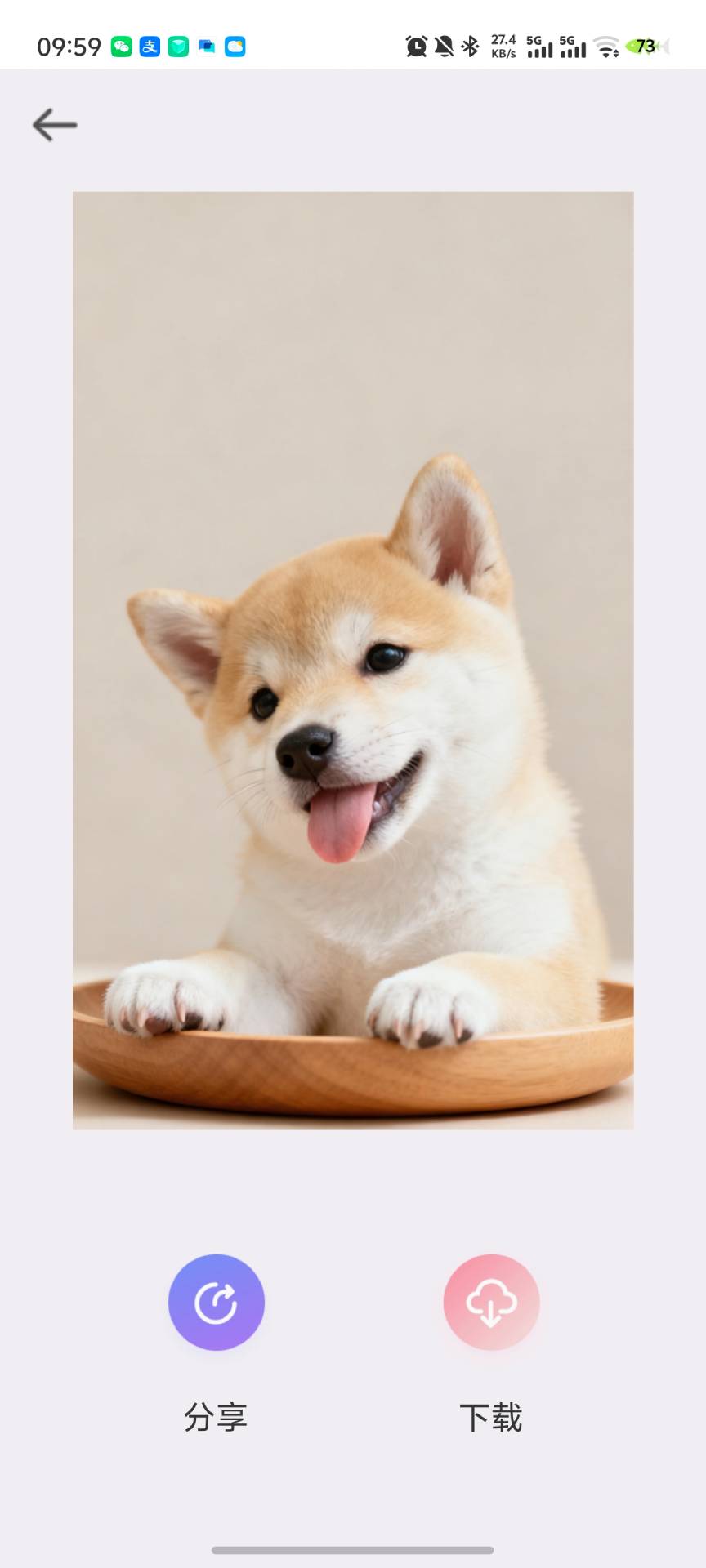 精彩截图-亽仒壁纸2026官方新版