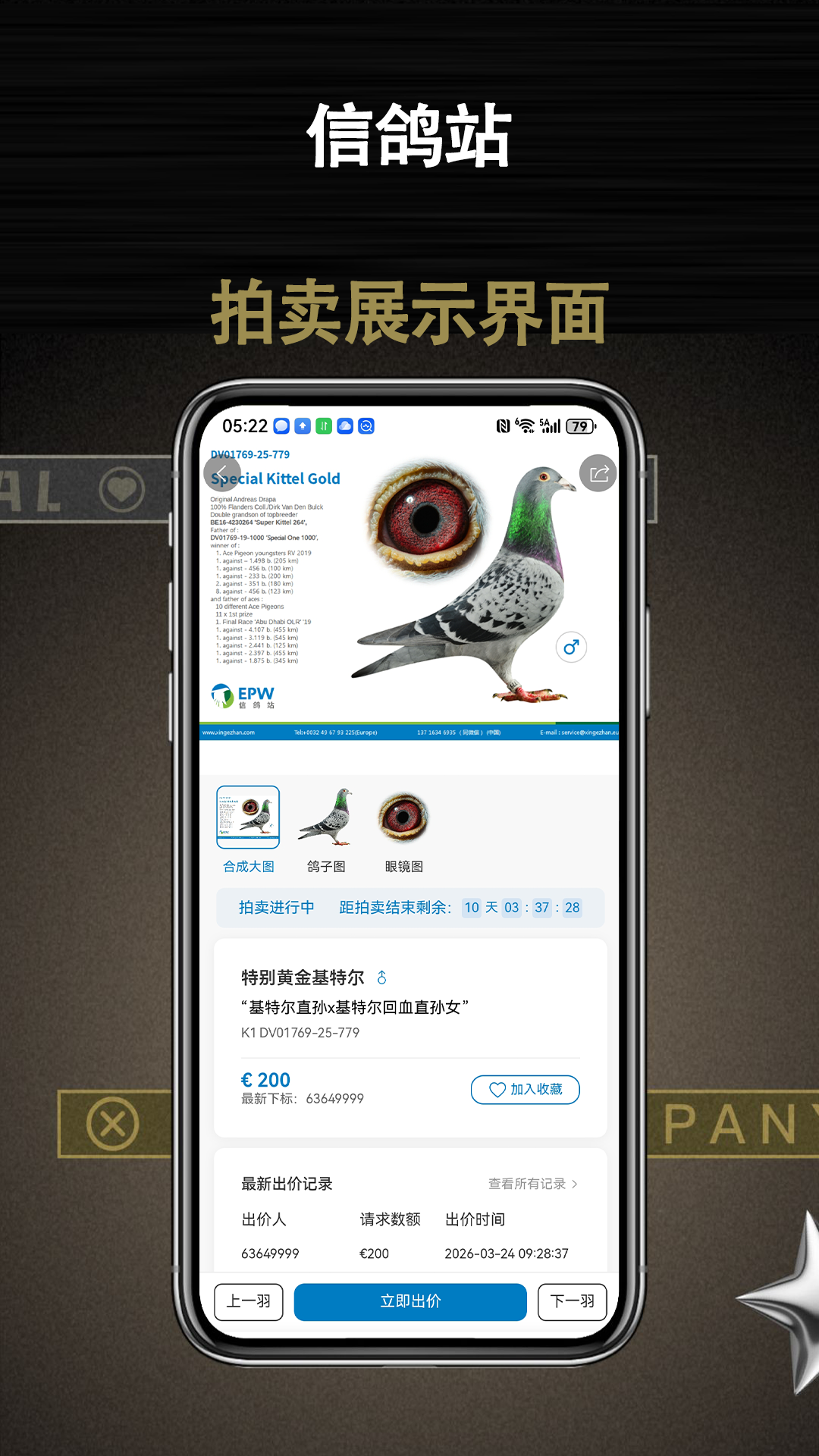 精彩截图-信鸽站2026官方新版