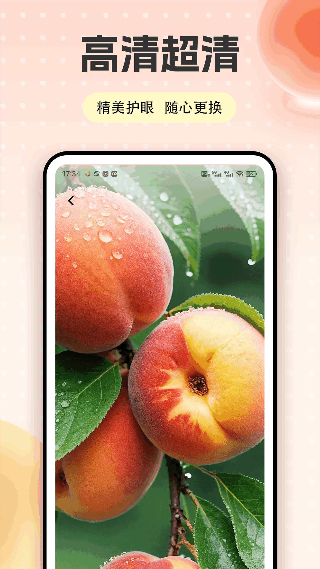 精彩截图-桃多多2026官方新版