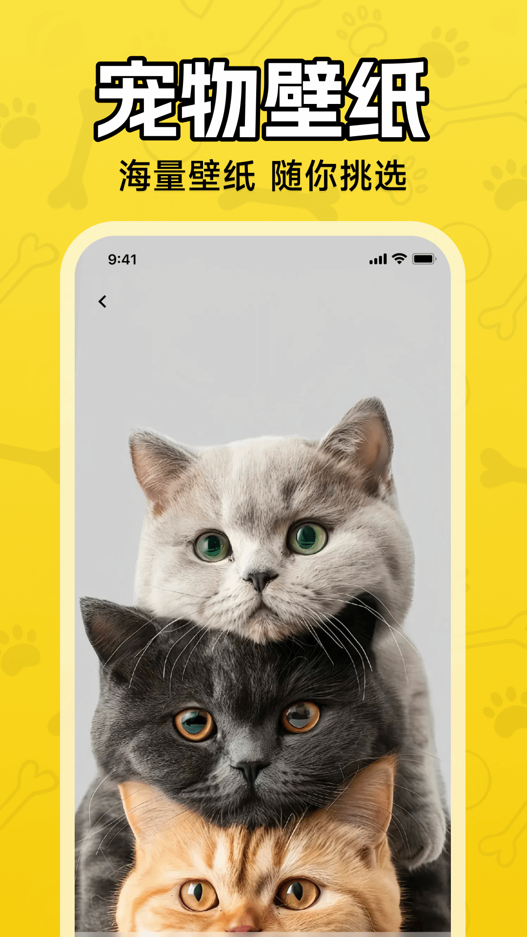 精彩截图-人猫狗翻译器2026官方新版