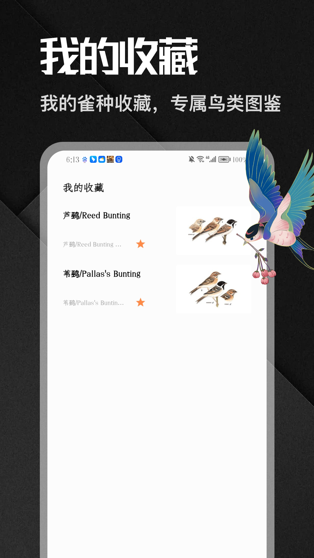 精彩截图-八方来雀2026官方新版