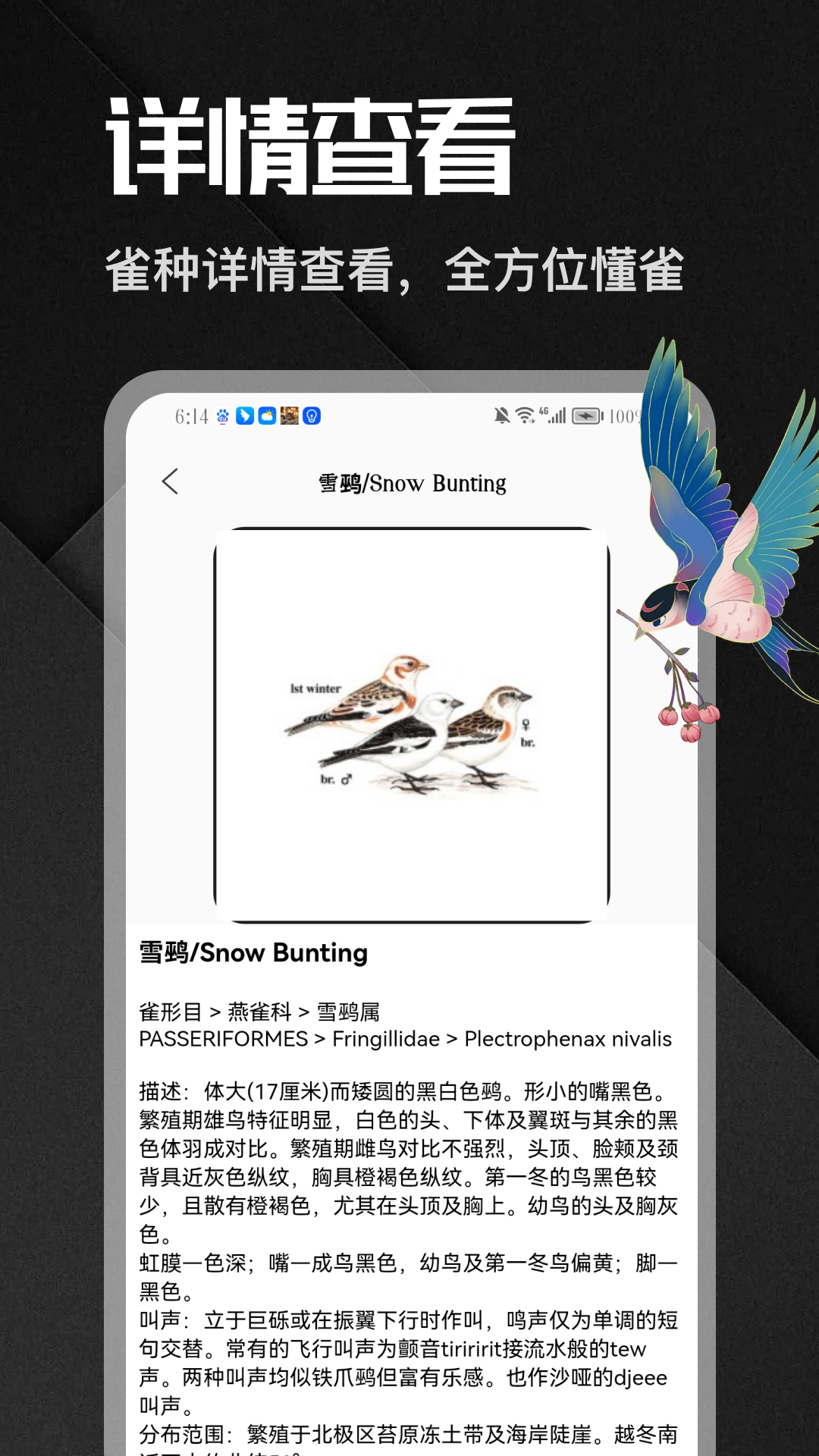 精彩截图-八方来雀2026官方新版