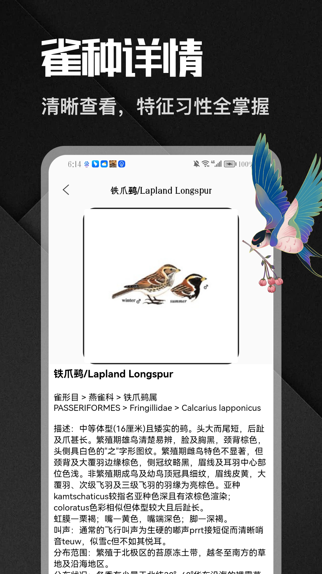 精彩截图-八方来雀2026官方新版
