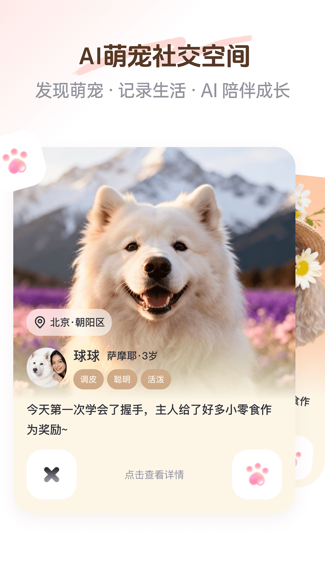精彩截图-PetSpace2026官方新版