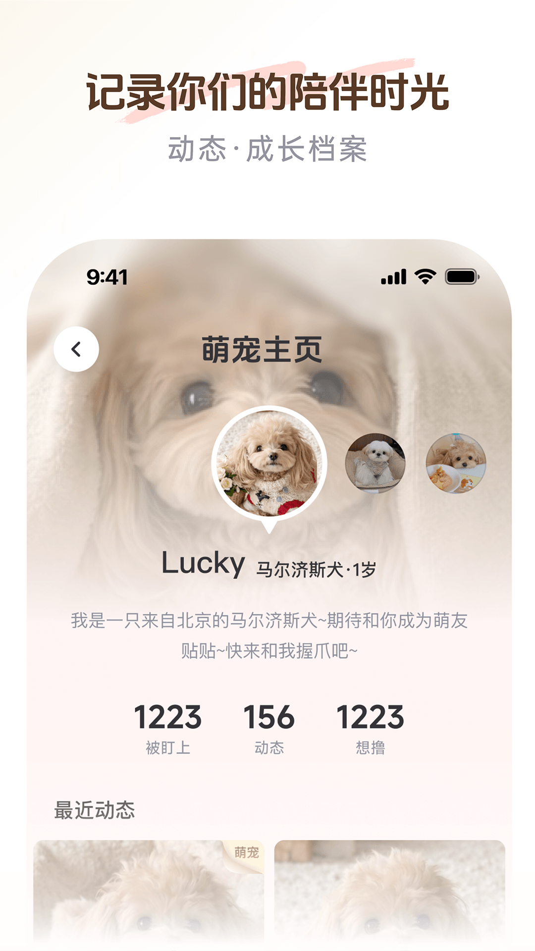 精彩截图-PetSpace2026官方新版