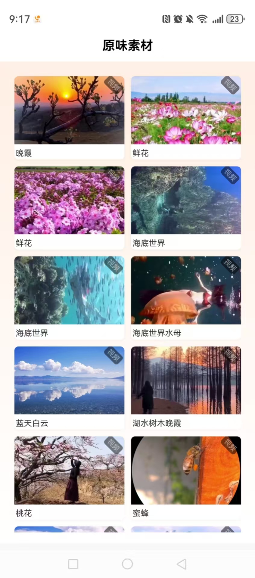 精彩截图-原味素材2026官方新版