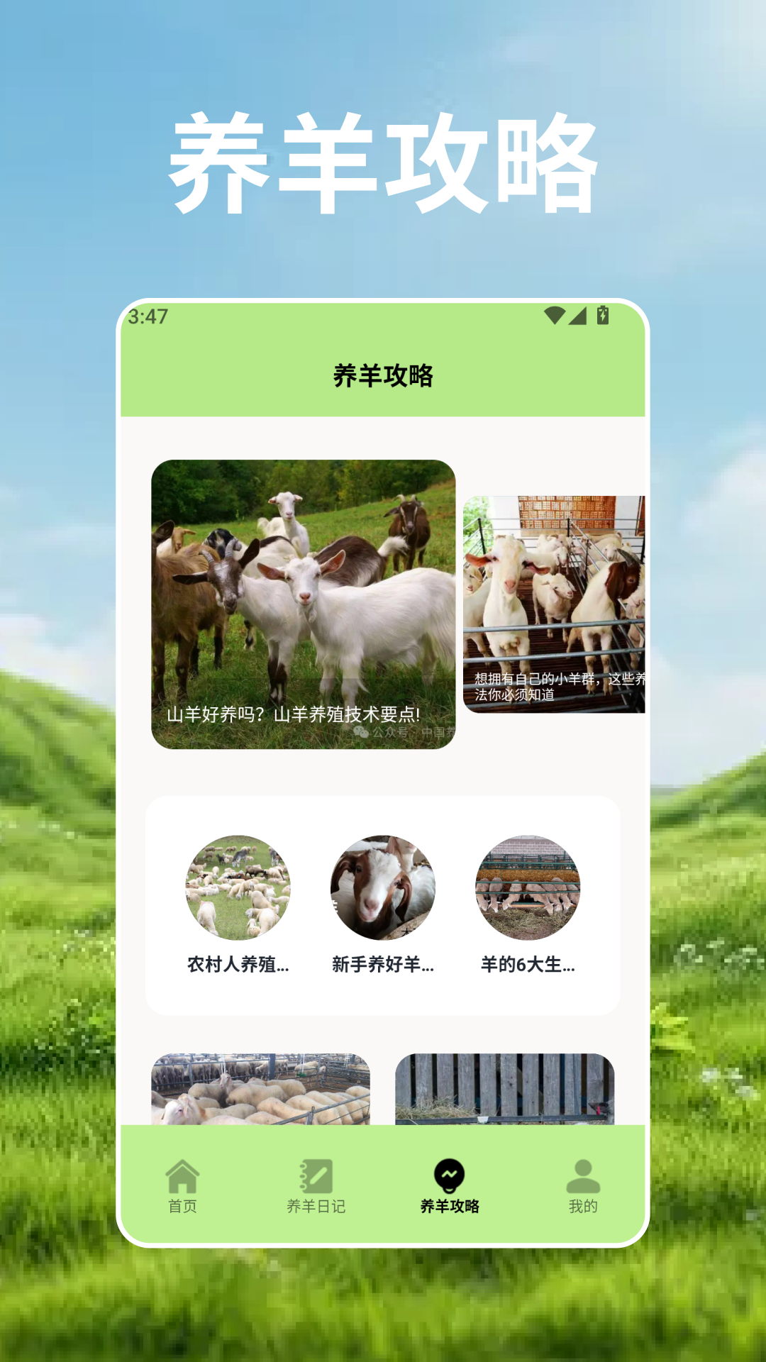 精彩截图-羊群的科学管理.2026官方新版