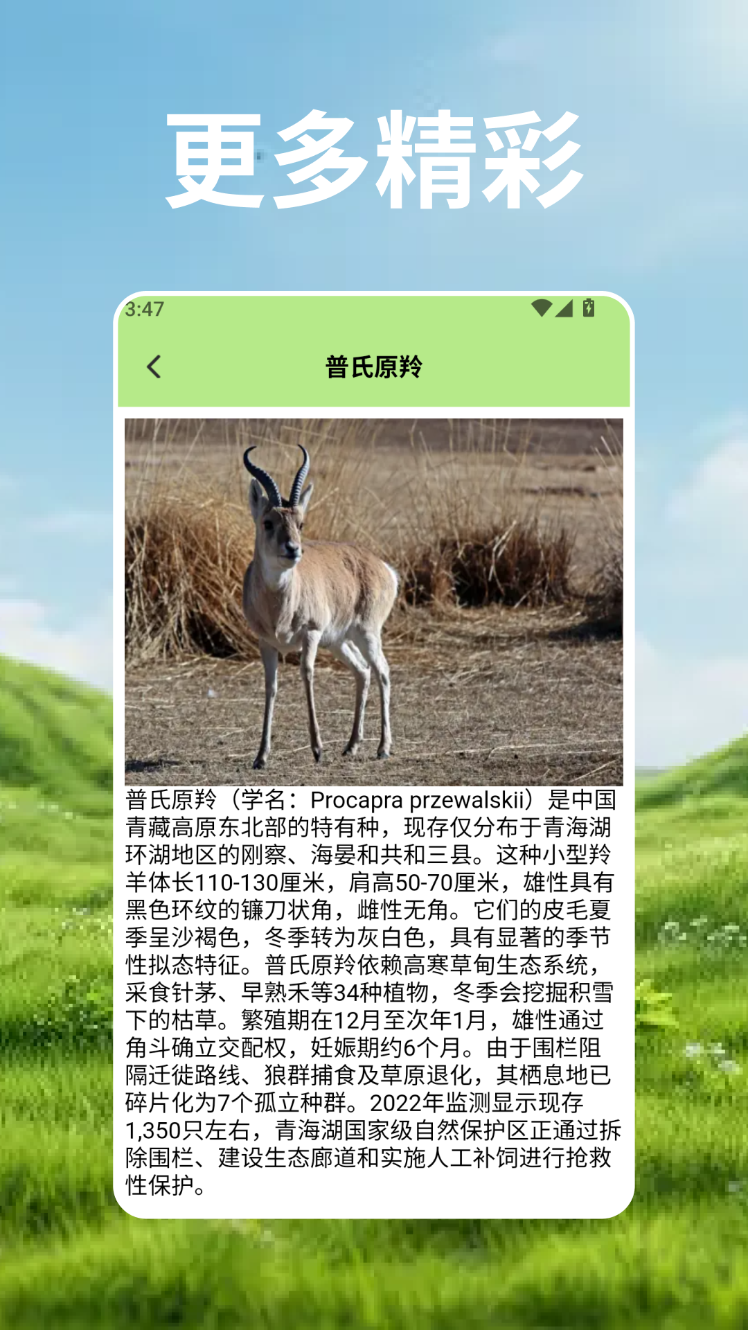 精彩截图-羊群的科学管理.2026官方新版
