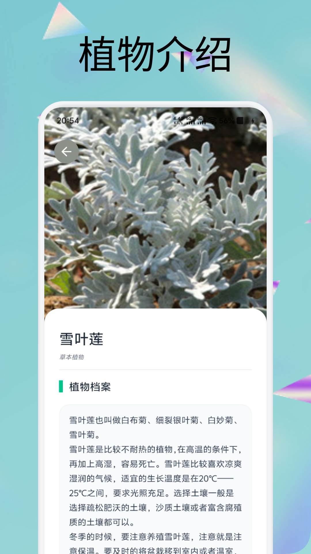 精彩截图-逸小花园2026官方新版