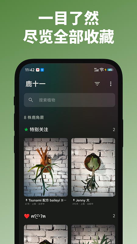 精彩截图-鹿十一2026官方新版