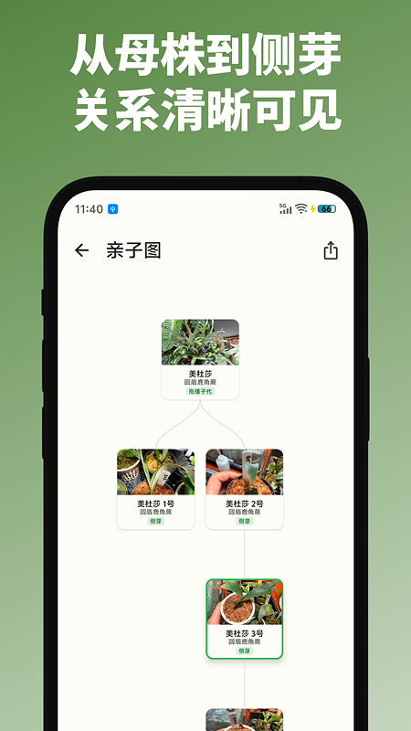 精彩截图-鹿十一2026官方新版
