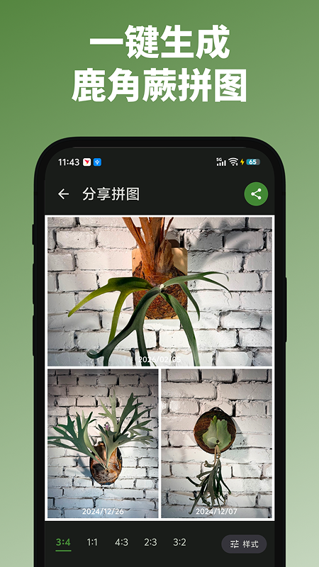 精彩截图-鹿十一2026官方新版