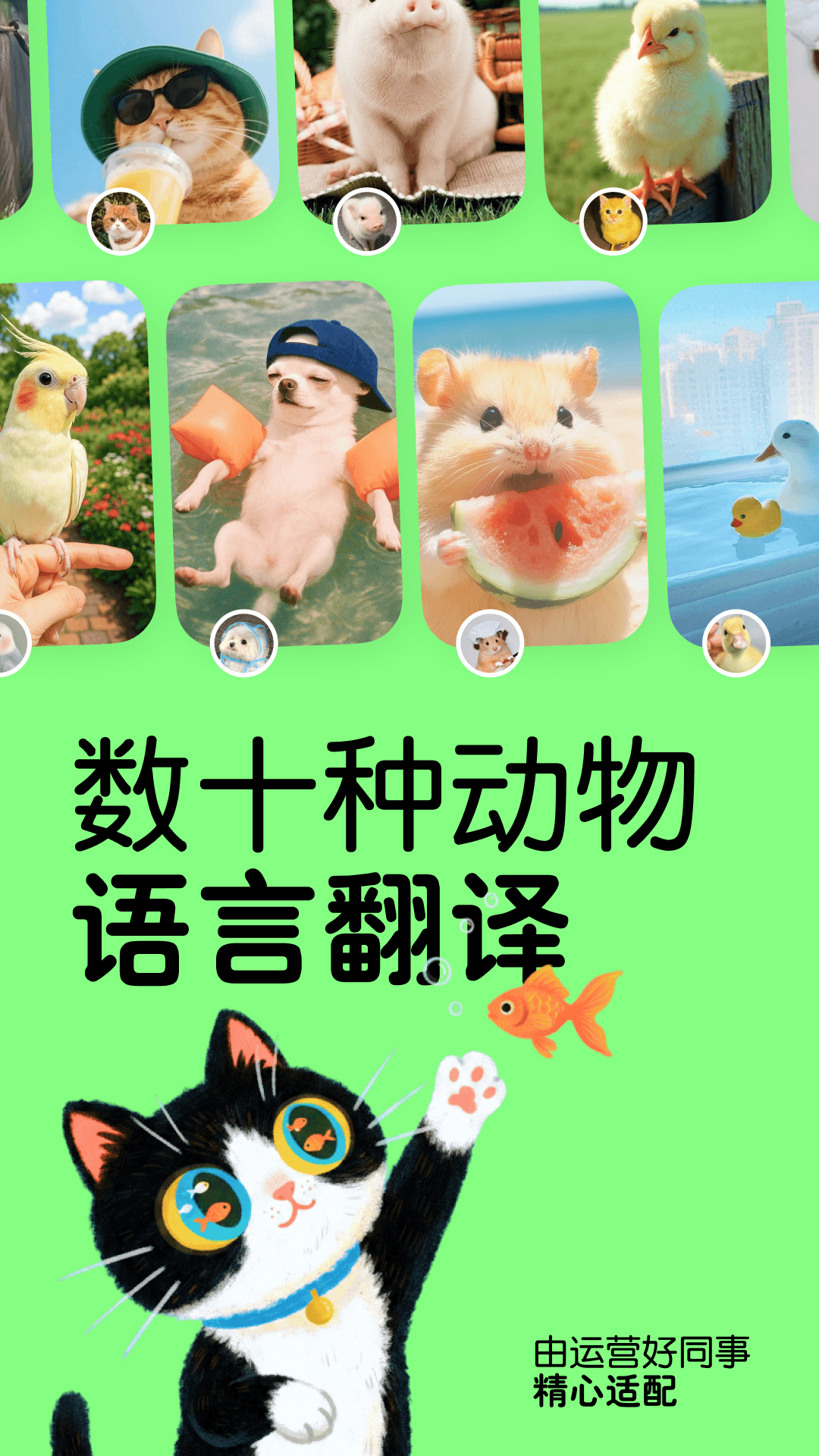 精彩截图-宠言2026官方新版