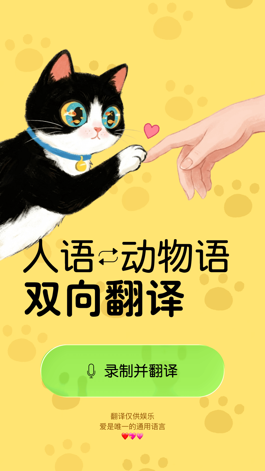 精彩截图-宠言2026官方新版
