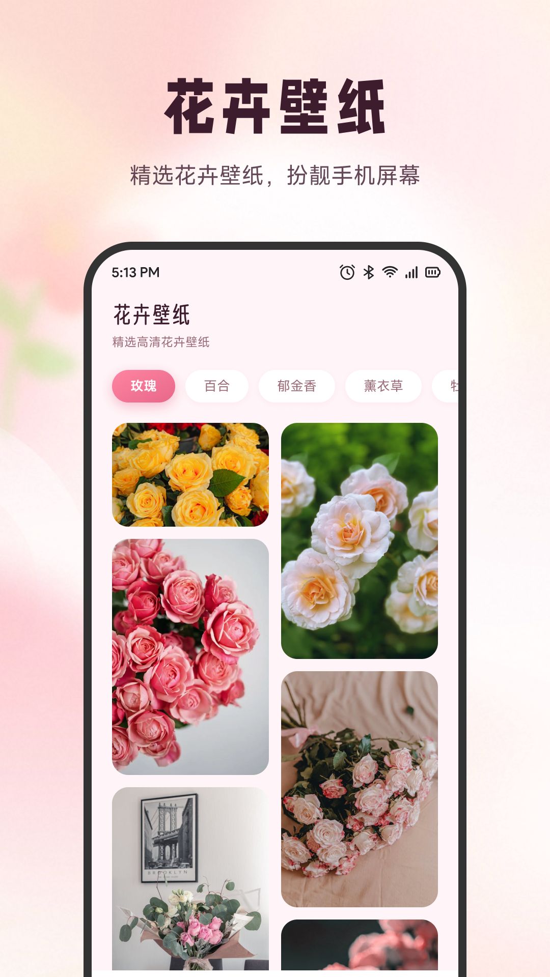 精彩截图-雪融花2026官方新版