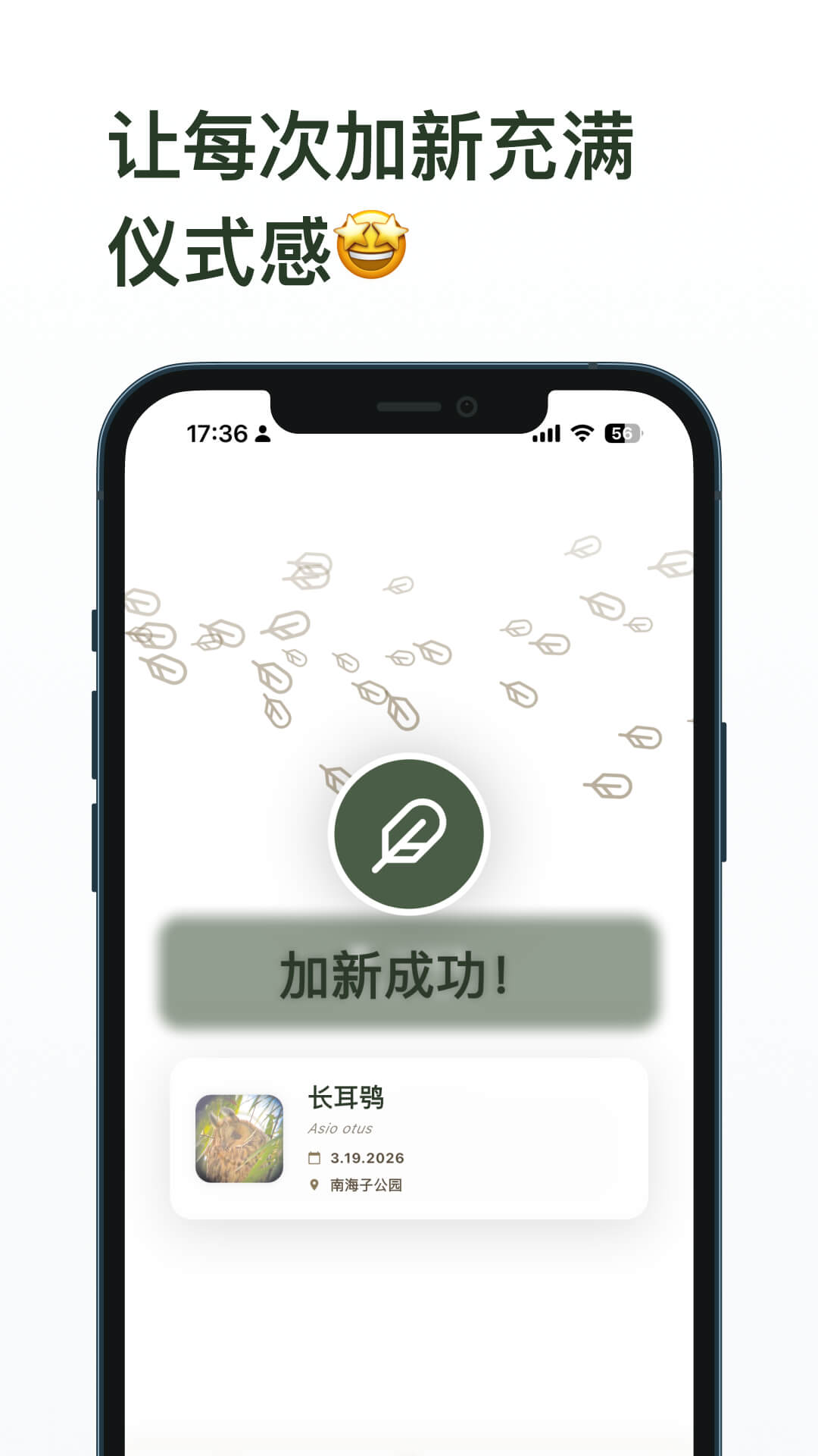 精彩截图-数毛2026官方新版