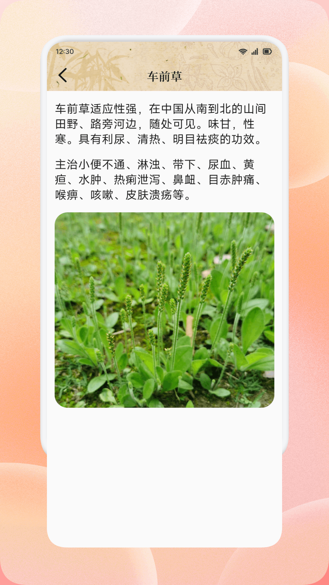 精彩截图-灸天下2026官方新版