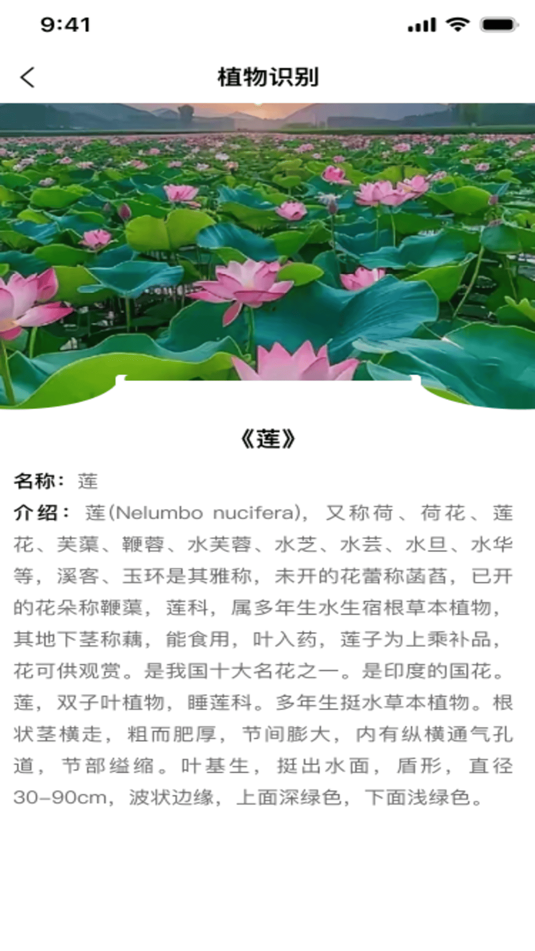 精彩截图-电子身份管理2026官方新版