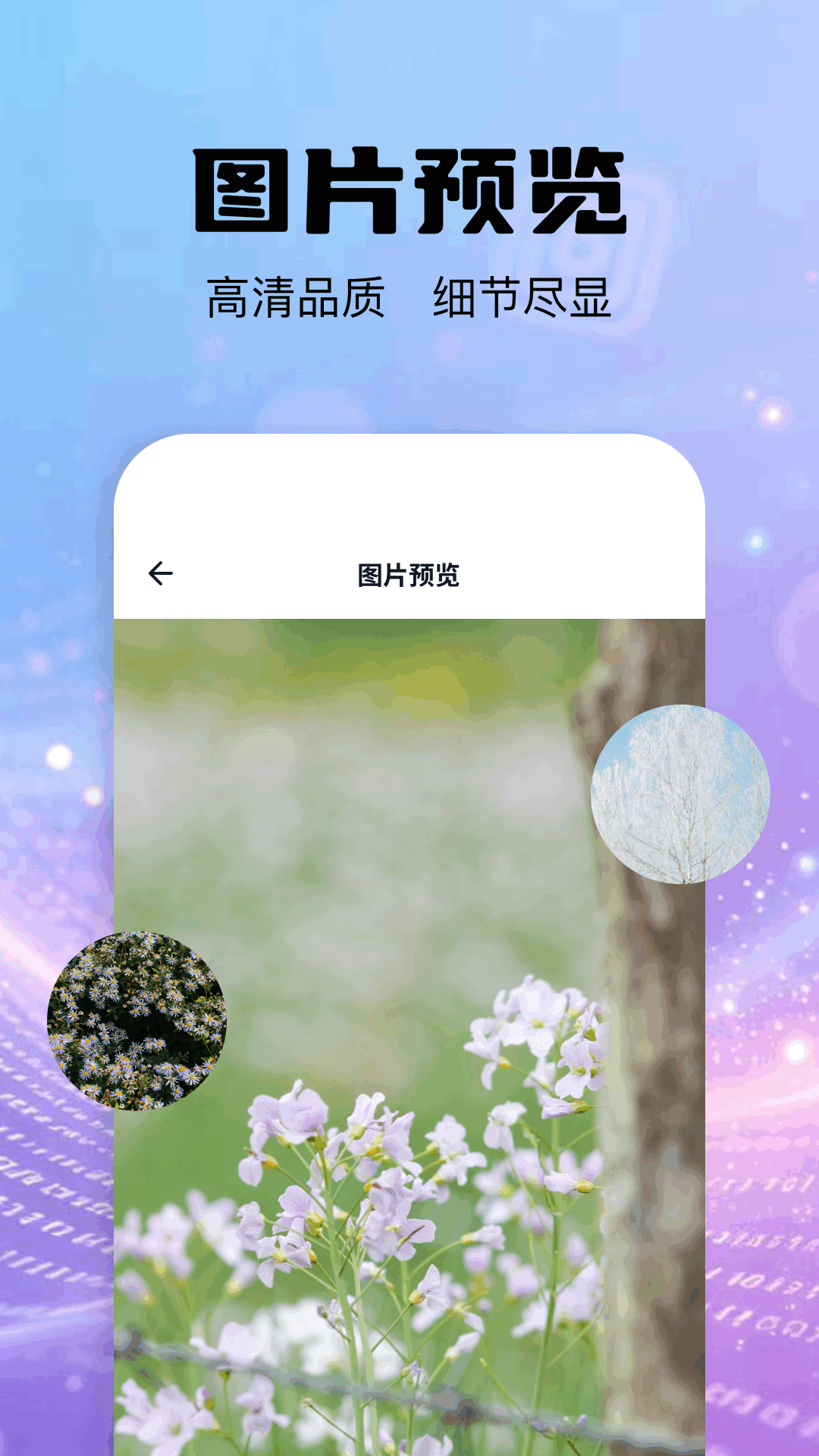 精彩截图-手机数据恢复管家2026官方新版