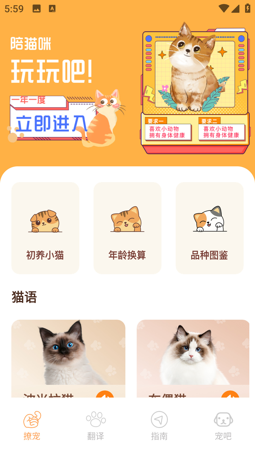 精彩截图-宠物猫2026官方新版