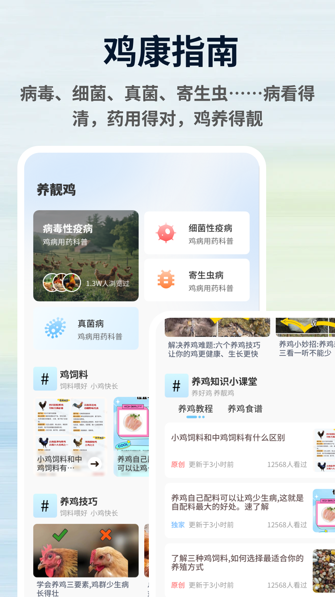 精彩截图-鸡大侠2026官方新版