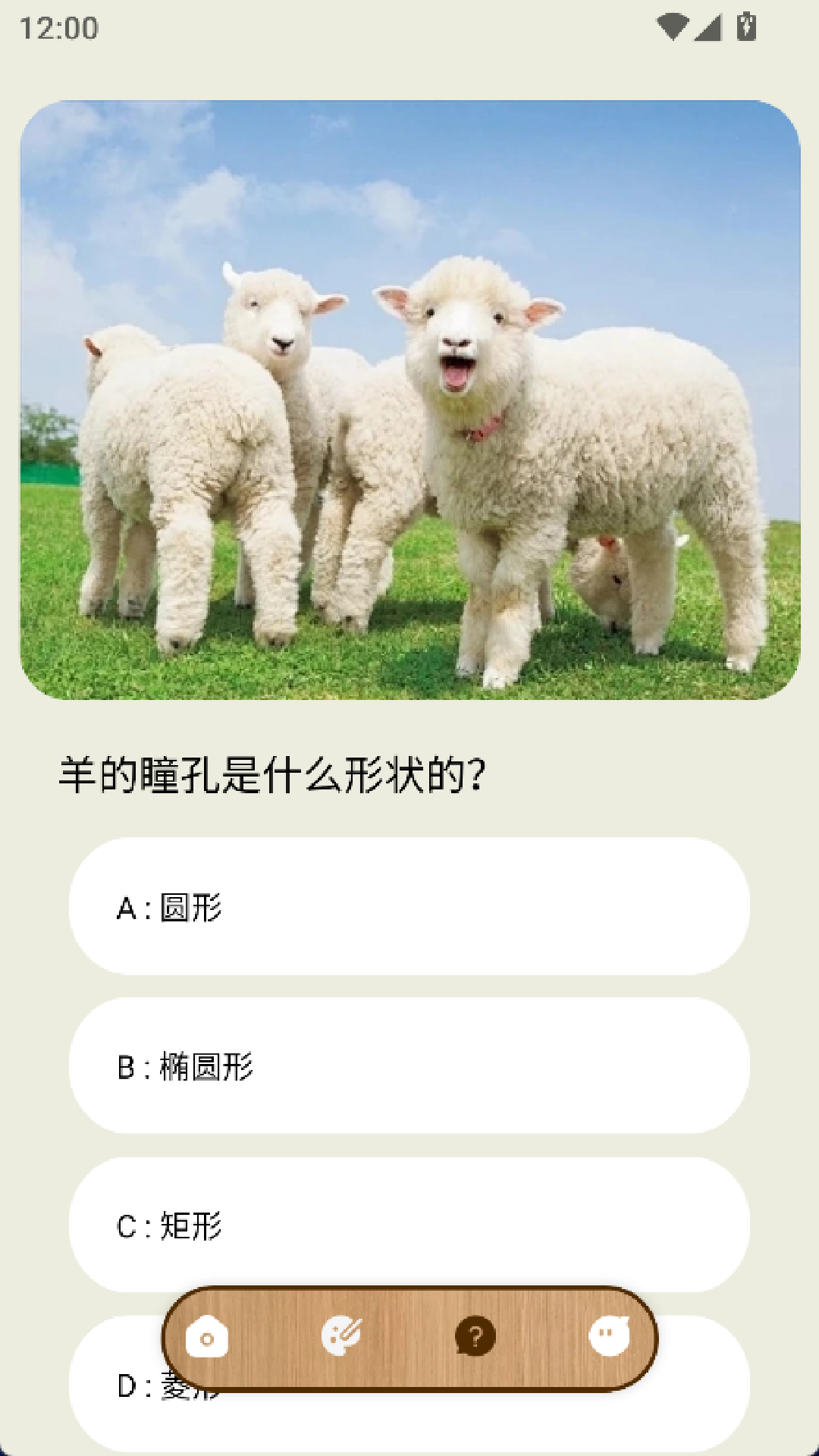 精彩截图-海岛好时光.小小羊圈2026官方新版