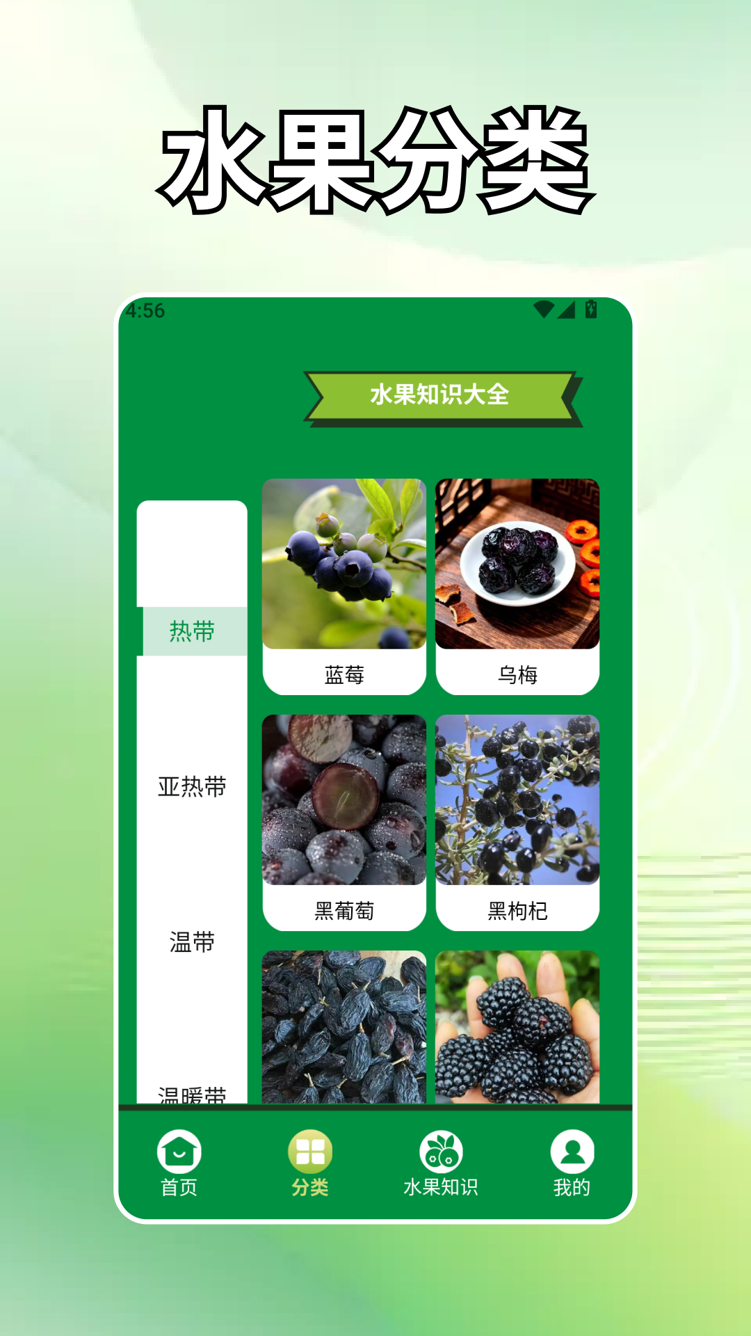 精彩截图-水果大丰收~2026官方新版