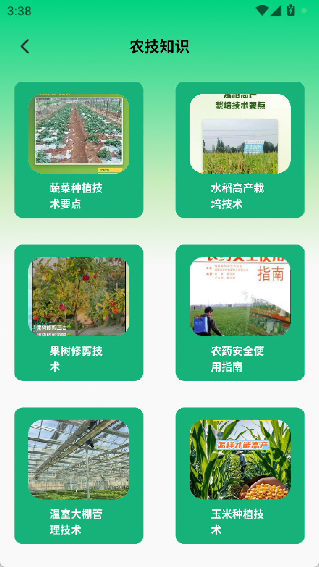 精彩截图-海岛好时光2026官方新版