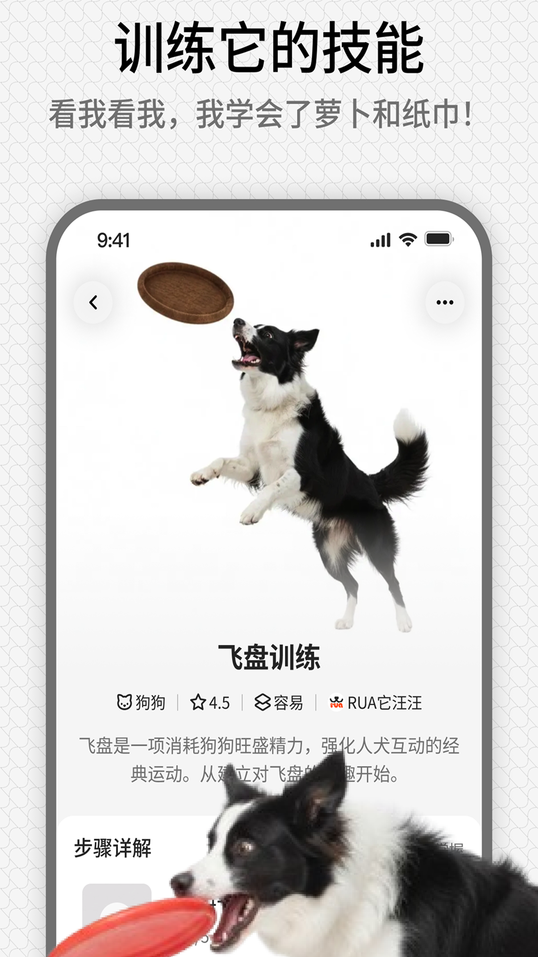 精彩截图-rua它2026官方新版