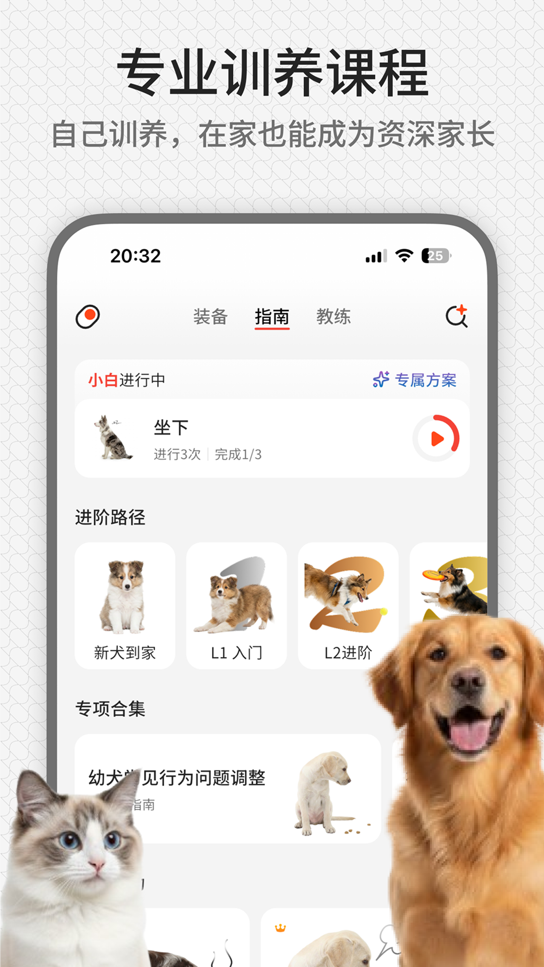 精彩截图-rua它2026官方新版