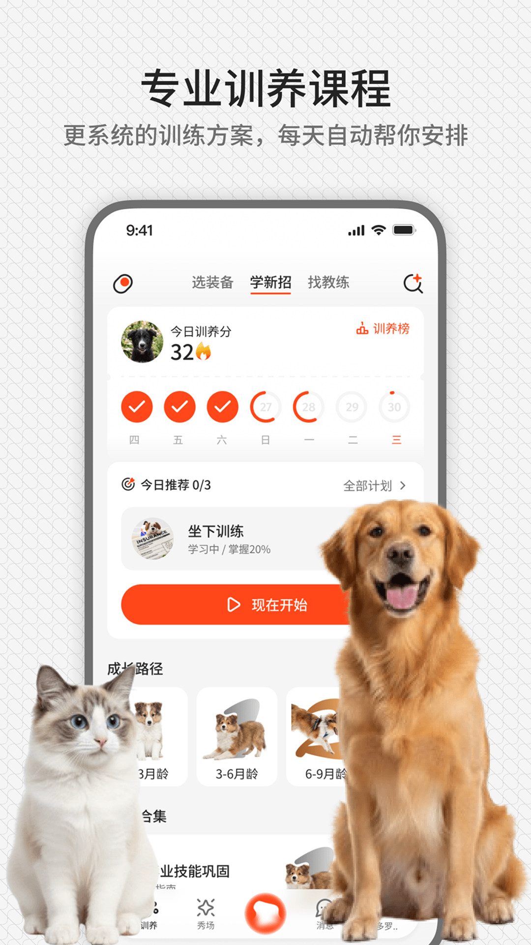 精彩截图-rua它2026官方新版