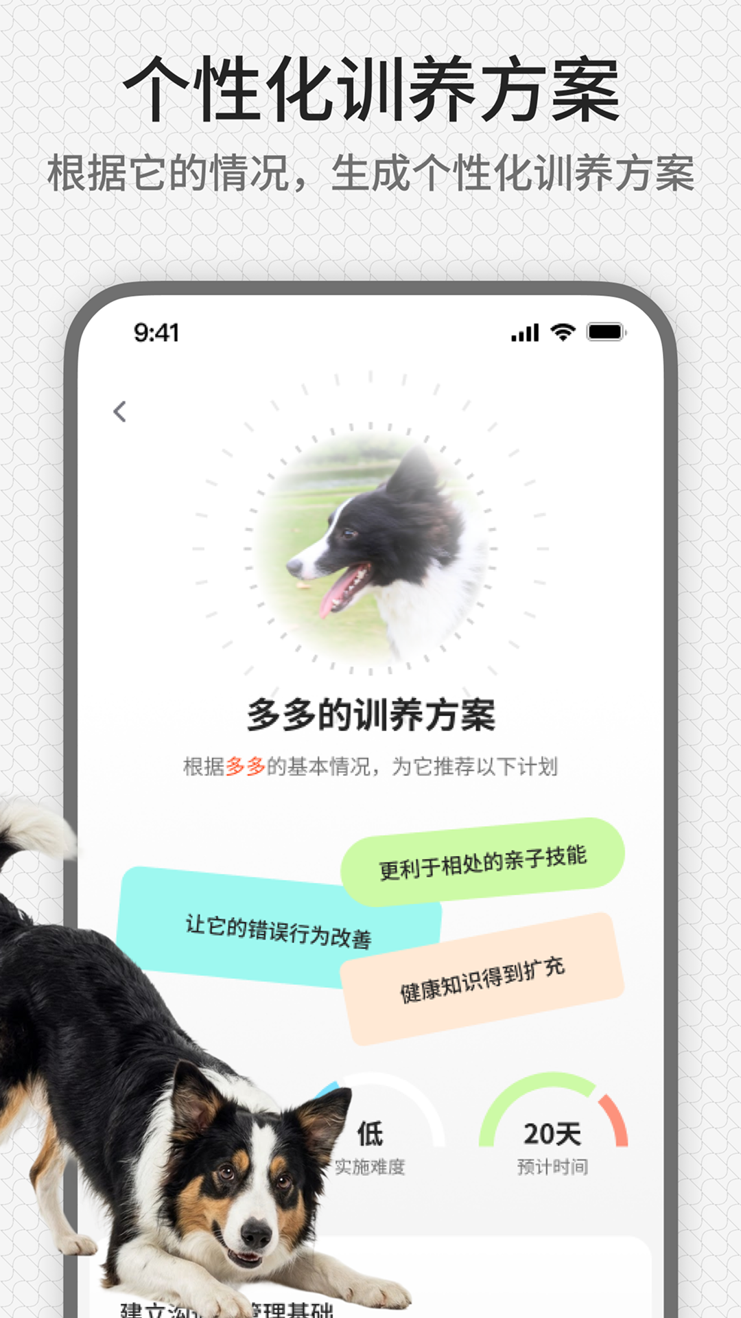 精彩截图-rua它2026官方新版