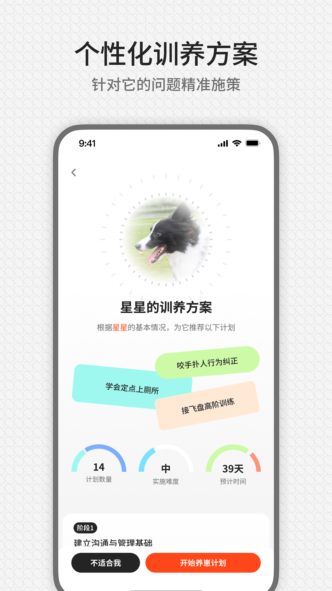 精彩截图-rua它2026官方新版