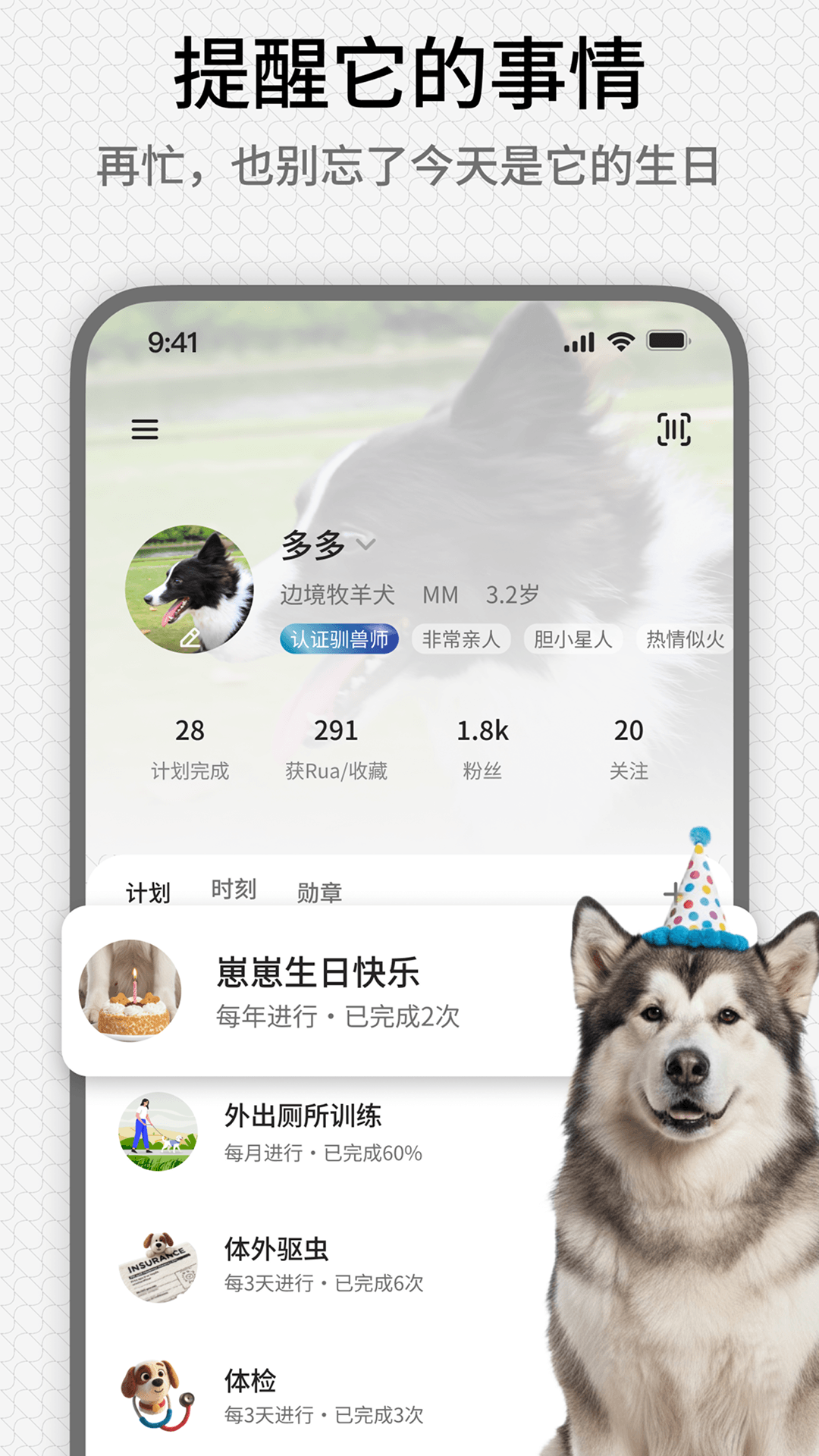 精彩截图-rua它2026官方新版