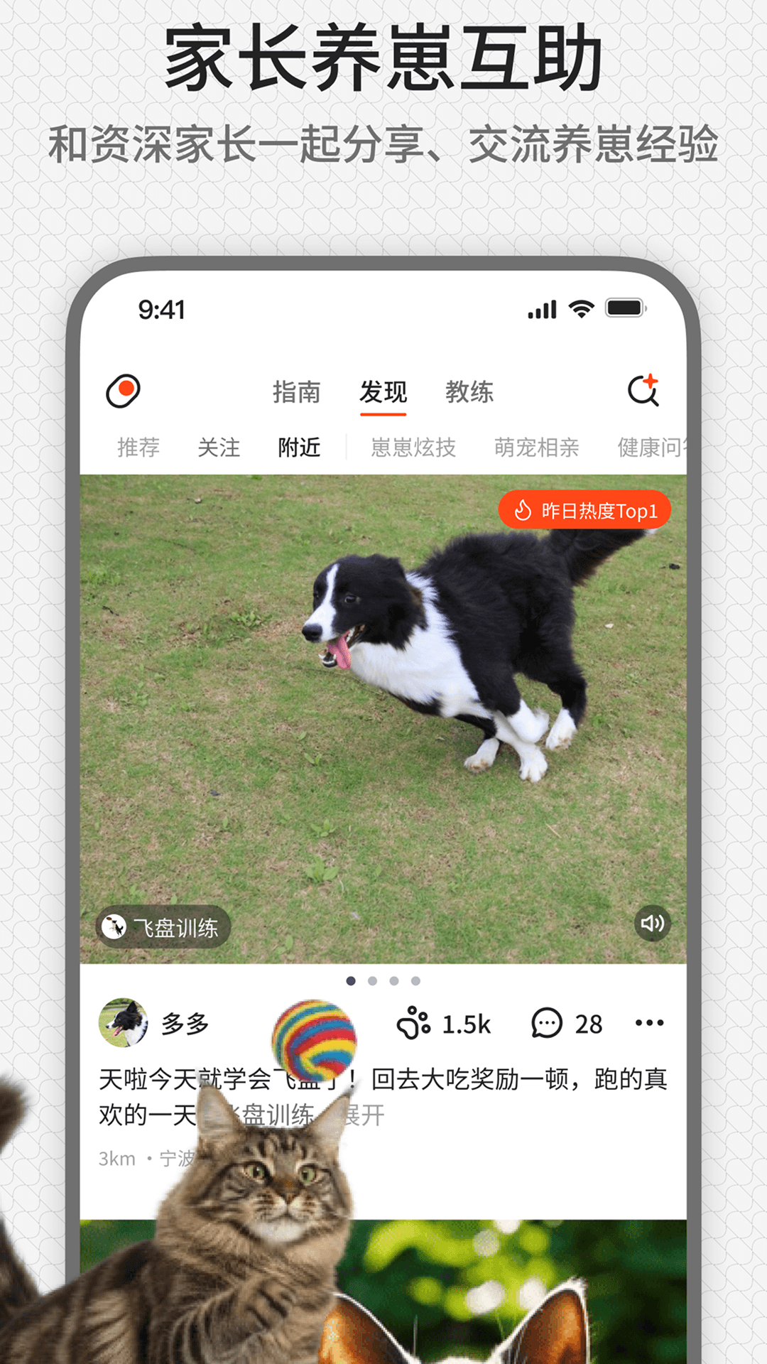 精彩截图-rua它2026官方新版