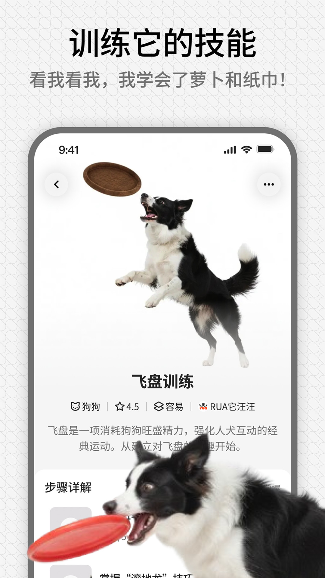 精彩截图-rua它2026官方新版