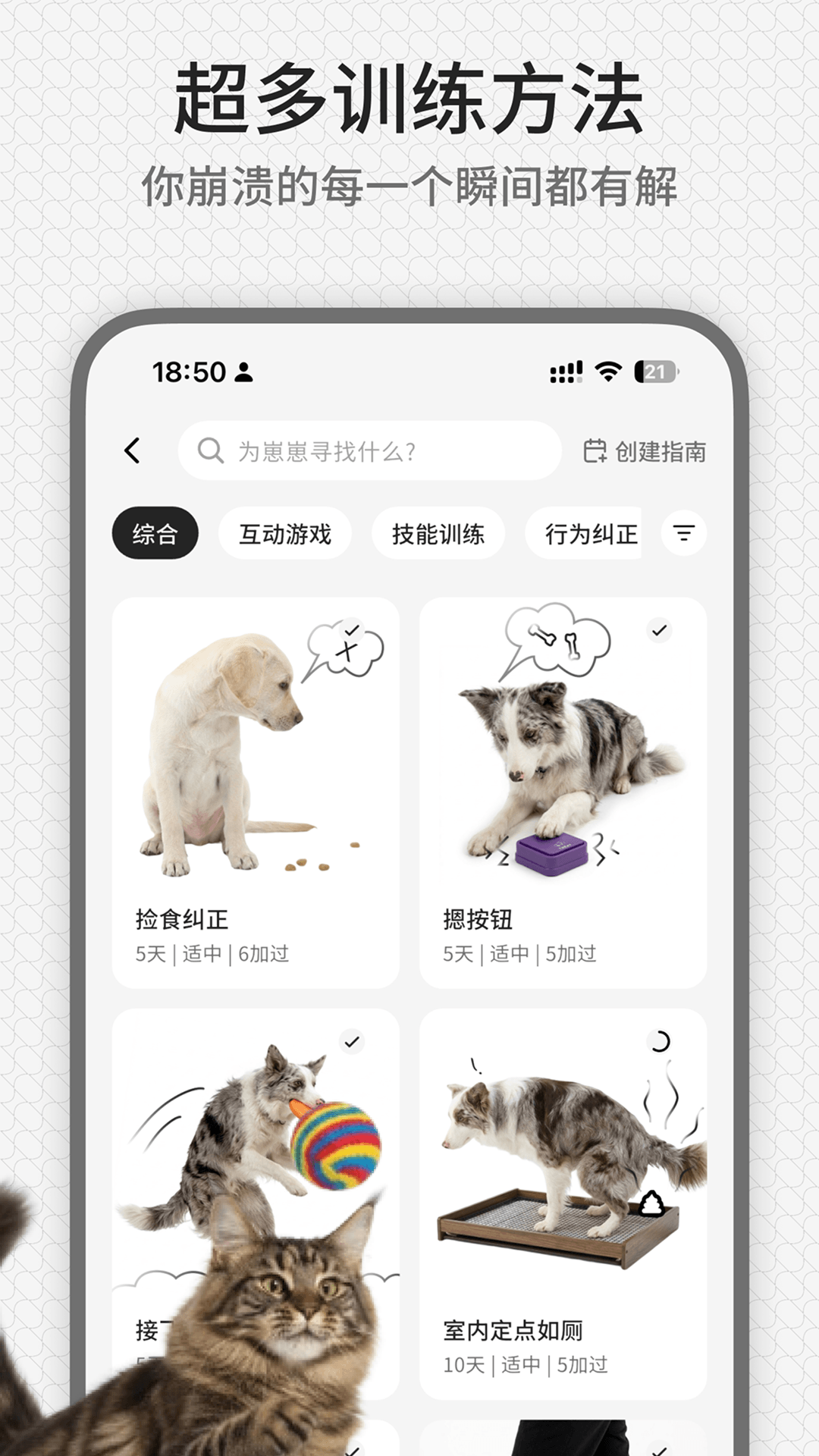 精彩截图-rua它2026官方新版