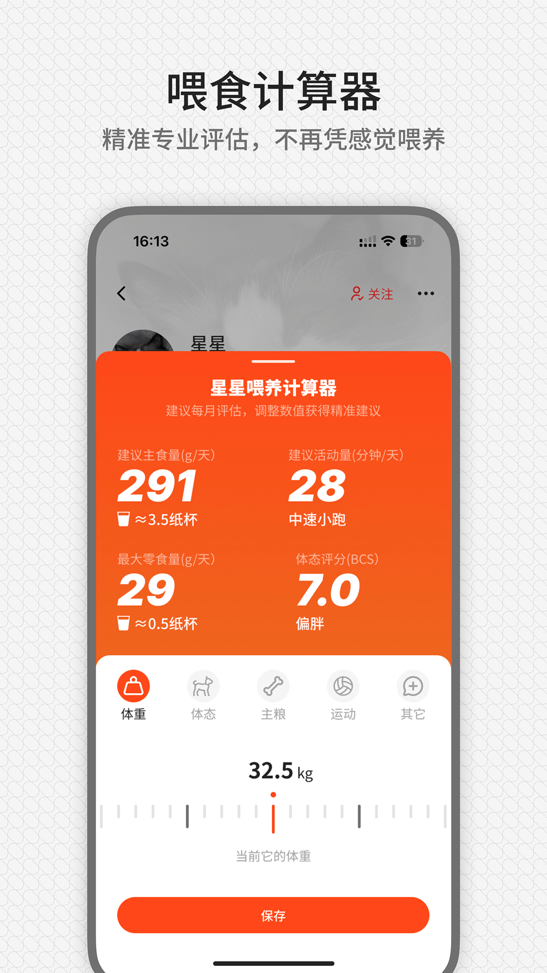 精彩截图-rua它2026官方新版