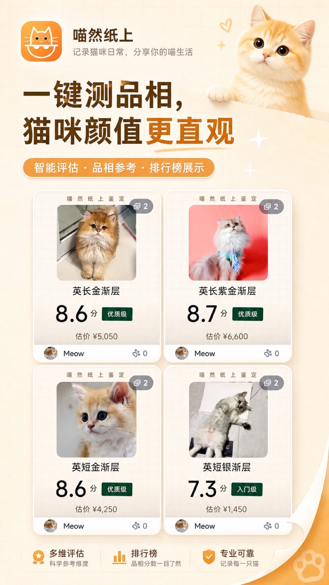 精彩截图-喵然纸上2026官方新版
