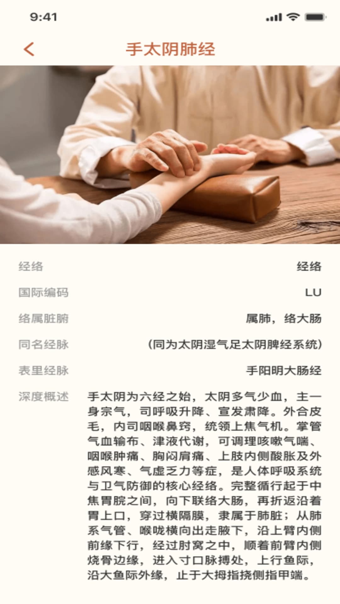 精彩截图-穴位经络宝典2026官方新版