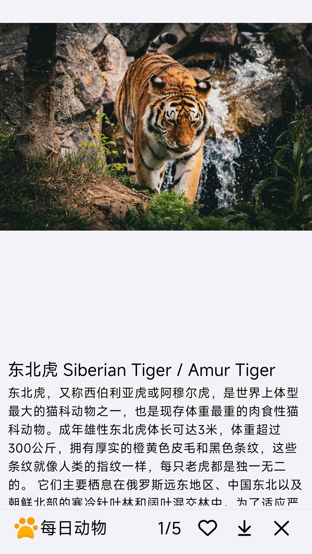精彩截图-每日动物2026官方新版