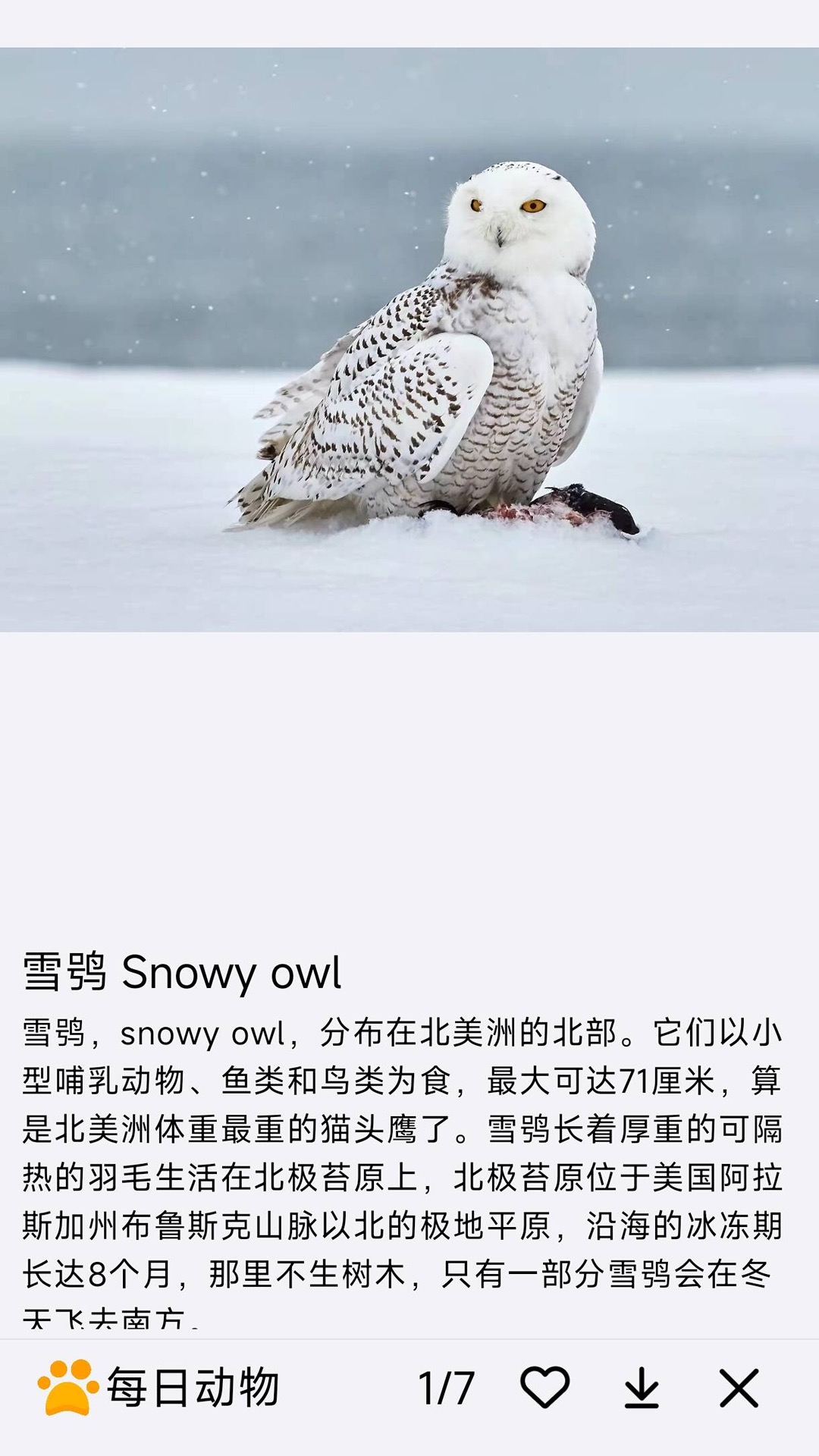 精彩截图-每日动物2026官方新版