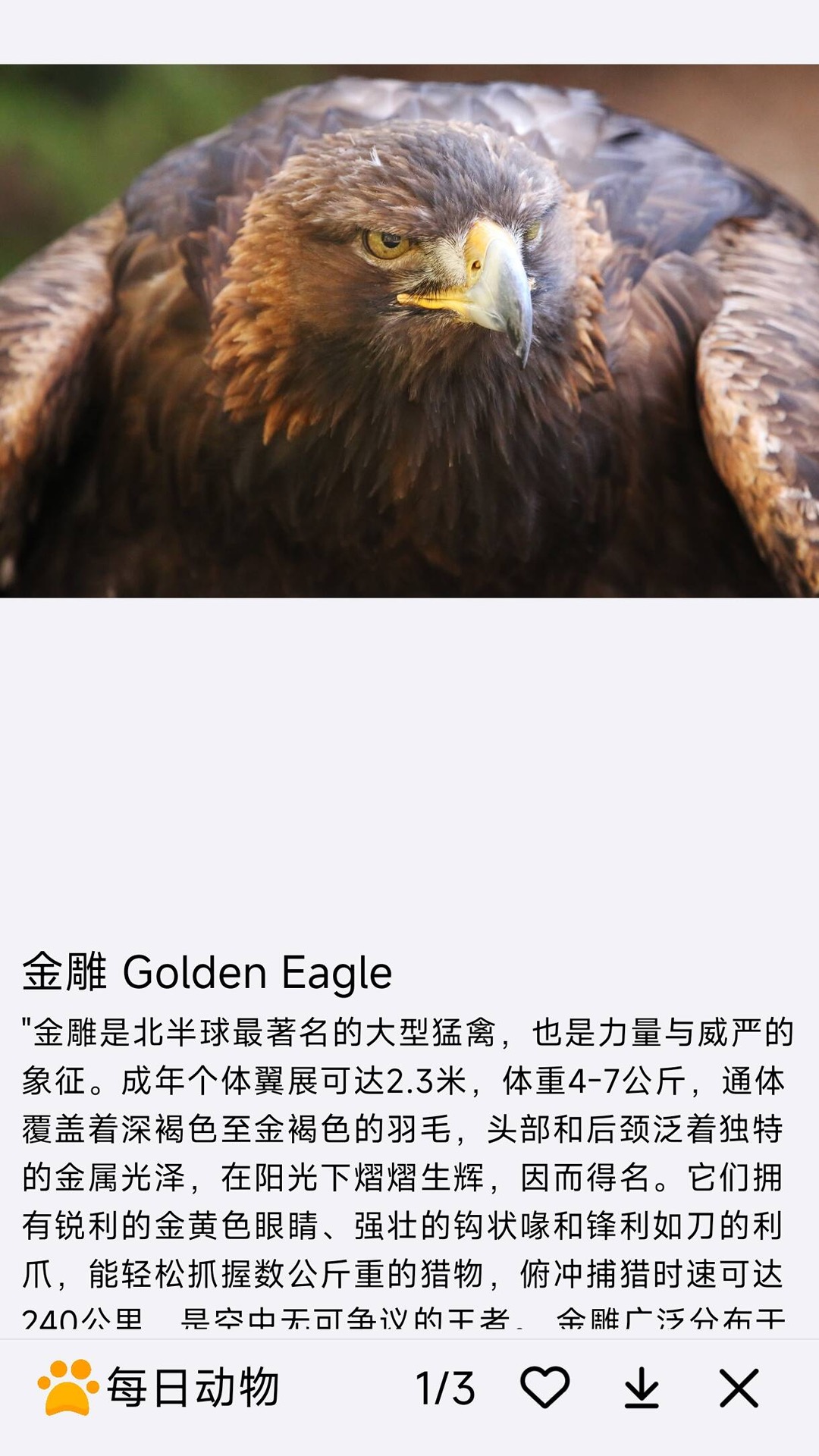 精彩截图-每日动物2026官方新版